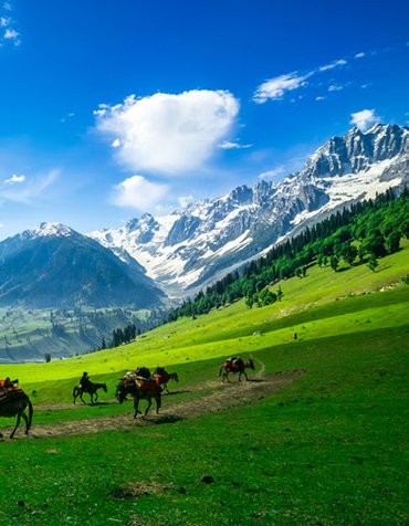 Jammu and Kashmir